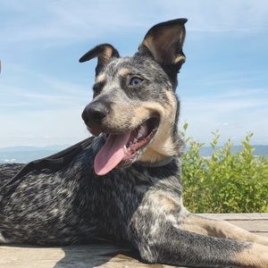 Meet your Posher, Aijah